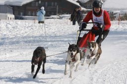 Lenk 2012 SM